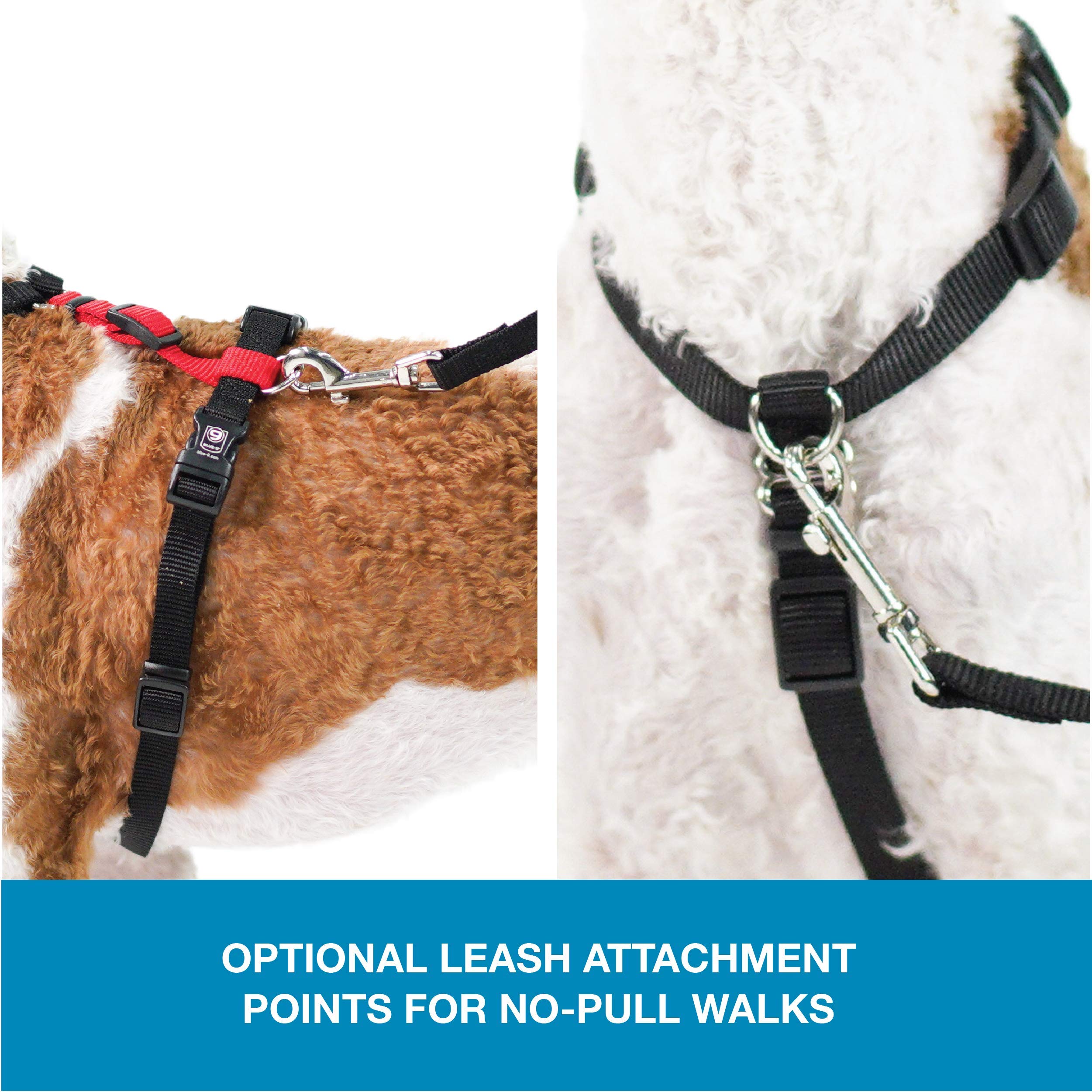 Blue-9 Pet Products No-Pull Balance Harness And Loose Leash Walking Set Dogs, Made In The Usa, Red, X-Small